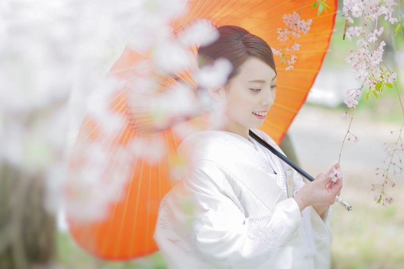 桜シーズン3月・4月の早割キャンペーンの開催中