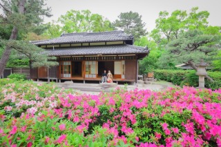 和装前撮り・フォトウェディングにおすすめロケスポット：名古屋市鶴舞公園（鶴々亭）