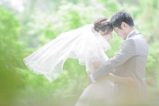 ショートベール