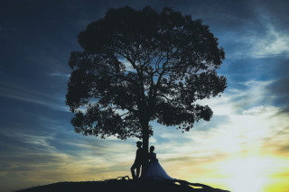 ご懐妊中のフォトウェディングについてvo2