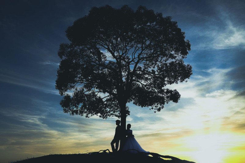 ご懐妊中のフォトウェディングについてvo2