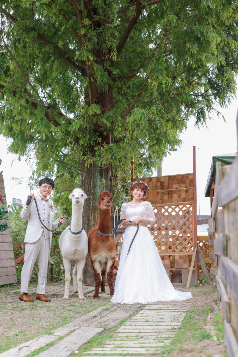 アニマル前撮り