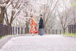 桜シーズン3月・4月の早割キャンペーンの開催中