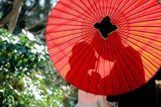 番傘シルエット