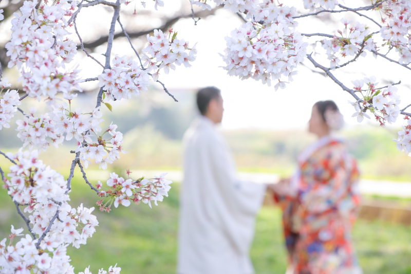 桜前撮り