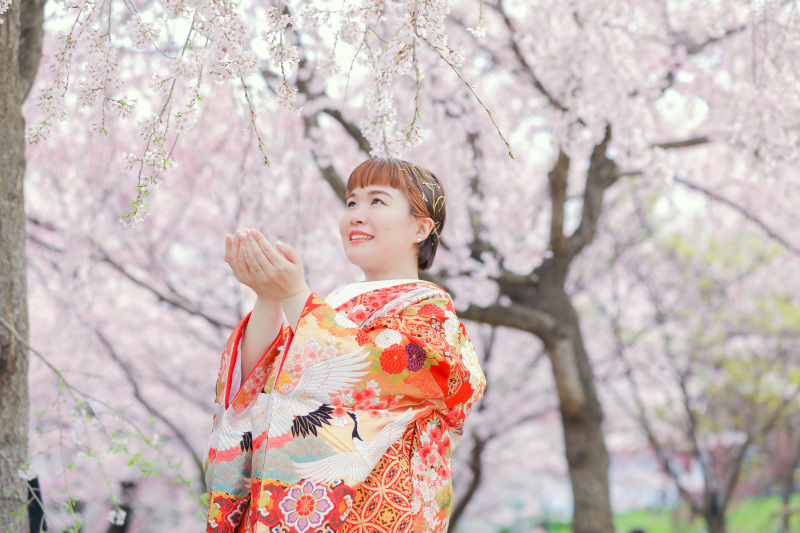 桜シーズン3月・4月の早割キャンペーンの開催中