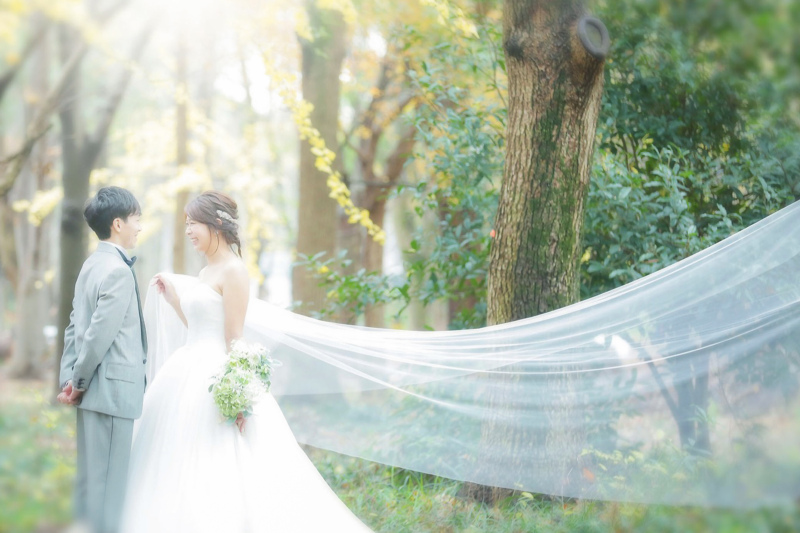 ベールの美しさ