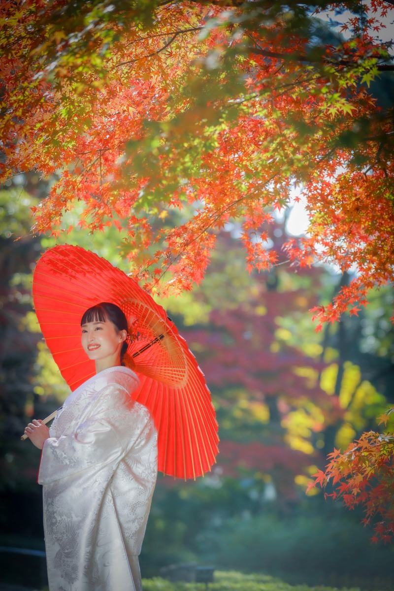 ip-oneカメラマン一貫制度のご案内