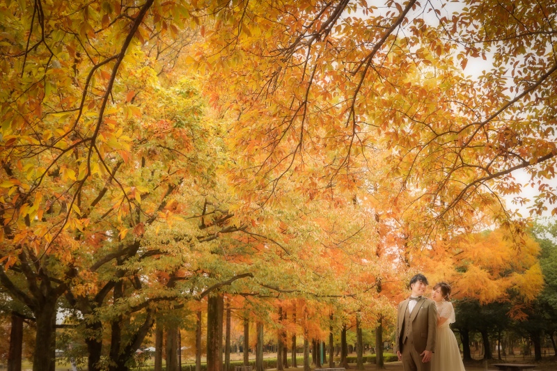 ip-oneが教える紅葉ロケーションの魅力と撮影方法に関して解説