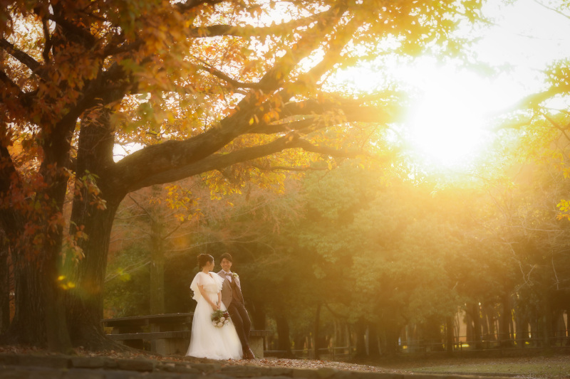 ip-one夕景撮影のご紹介