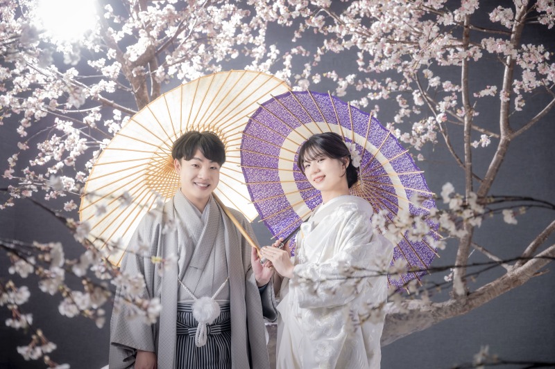 スタジオで楽しむ桜前撮り｜季節を感じる桜シーンのご紹介