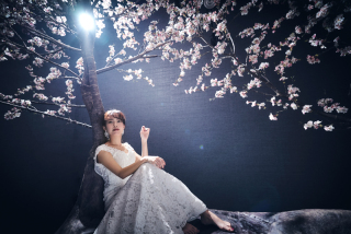 今がベストタイミング!ソロウェディングの魅力とは?