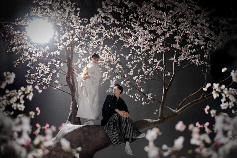 シーン「桜」のご紹介♪
