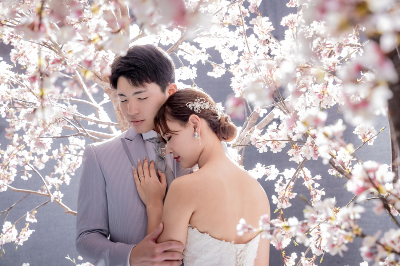 洋装和装どちらでも♪桜のシーンご紹介します！
