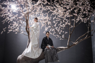 桜×和装のご紹介★