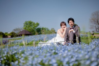 ネモフィラ&青々しい公園のご紹介♪