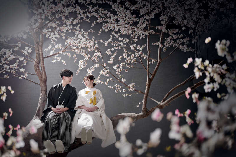 シーン「桜」のご紹介♪