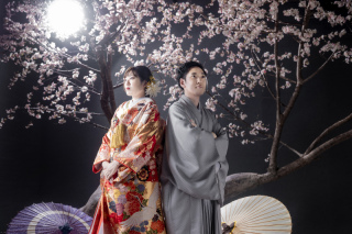 壮大な桜を背景に雅な姿で!シーン『桜』のご紹介♪