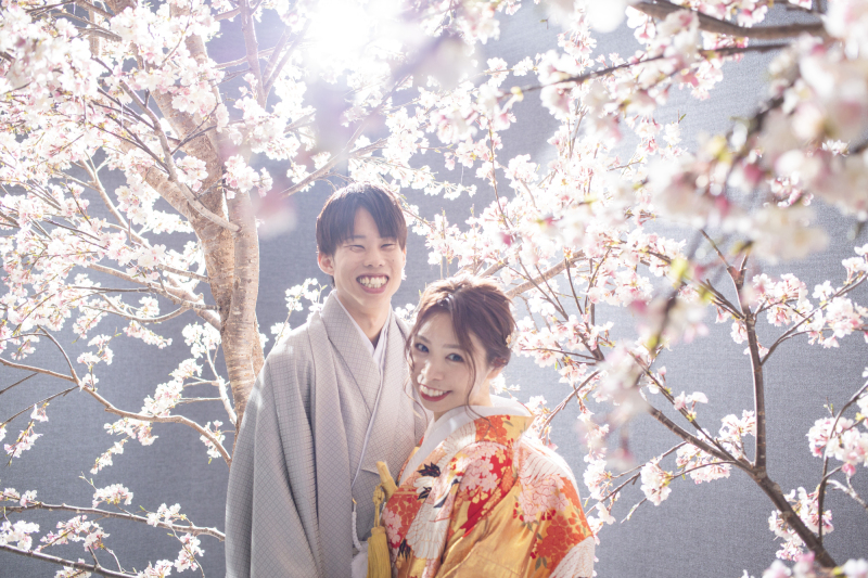 洋装和装どちらでも♪桜のシーンご紹介します！