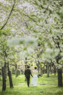 NEW!【新緑フォトプラン|洋装2着スタジオ3シーン+ロケ1か所】