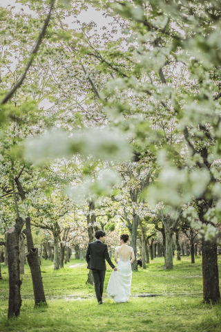 NEW!【新緑フォトプラン|洋装2着スタジオ3シーン+ロケ1か所】