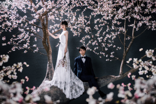 ブランズ心斎橋でカラフルなフラワーに包まれるシーンたち✨のご紹介