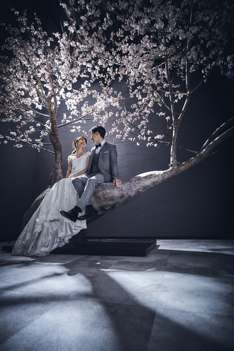 今からが勝負！桜フォト！！！