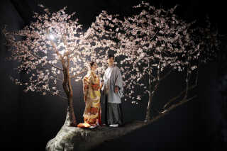 満開の桜が一年中咲いてる!?ブランズ心斎橋の桜フォト特集