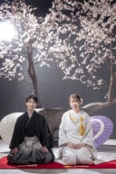 シーン「桜」ご紹介！