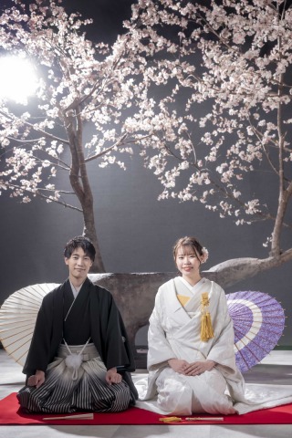 シーン「桜」ご紹介!