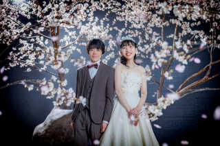 シーン「桜」のご紹介♪