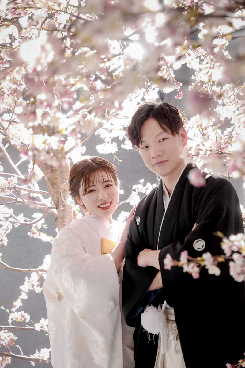 シーン「桜」のご紹介♪