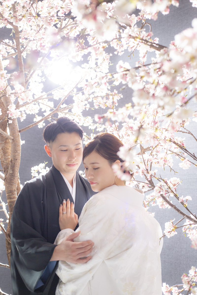 桜×和装のご紹介★