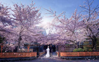 ✨キャンペーン✨フォトウェディングの常識を覆す「イマーシブレタッチ」キャンペーン