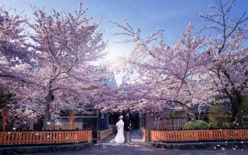 ✨キャンペーン✨フォトウェディングの常識を覆す「イマーシブレタッチ」キャンペーン