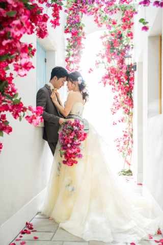 春にぴったり♪カラードレスも着れる今だけのお得なキャンペーン実施中！