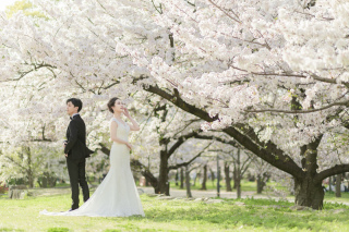 【必見】桜フォトのご紹介♪