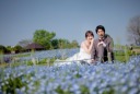ネモフィラ!鶴見緑地のご紹介♪