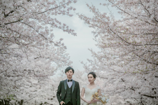 【毎年人気完売】3/24~4/15撮影限定!洋装桜ロケ+スタジオ1シーン撮影付き