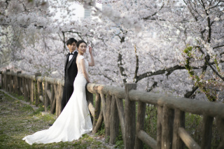 ✨完売間近！✨【3/24～4/15撮影限定！】毎年人気完売！サクラフォトプラン！