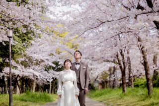 桜の季節到来!!!