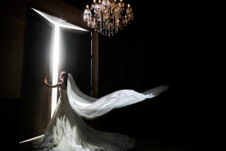 日本で撮れる！韓国フォト集！