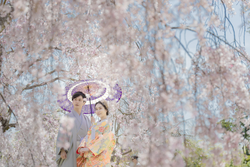 【早期予約必須】春に撮りたいロケーションフォトをまとめました！