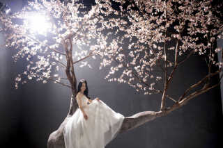 【ご好評キャンペーン】こだわりドレス2着★White&Colorのご紹介✨