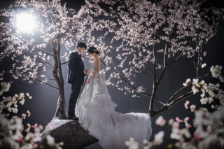 洋装和装どちらでも♪桜のシーンご紹介します!