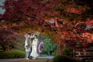 ついに来た！秋のおススメロケーション