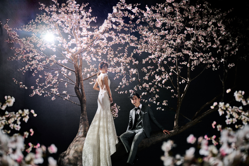 【必見】桜フォトのご紹介♪