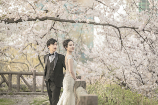 ブランズ心斎橋桜フォト❀❀