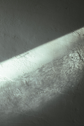 ３月４月の撮影枠が残り僅かとなりました