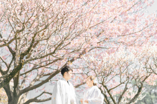 3月の撮影枠についてのお知らせ